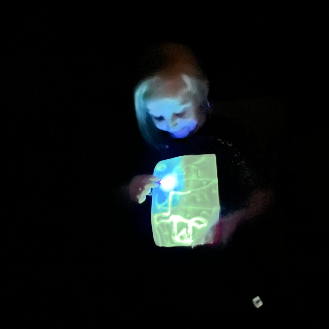 Glow in the Dark Tshirt Interactive Kids Glow in the Dark Tshirt